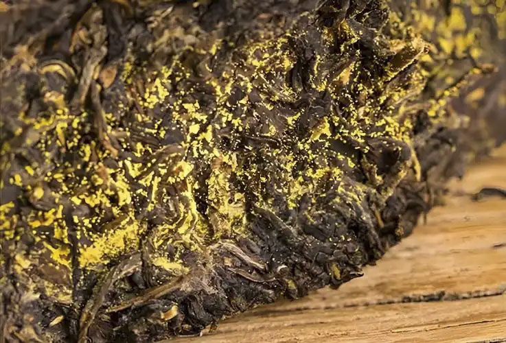 茯茶金花 茯茶金花