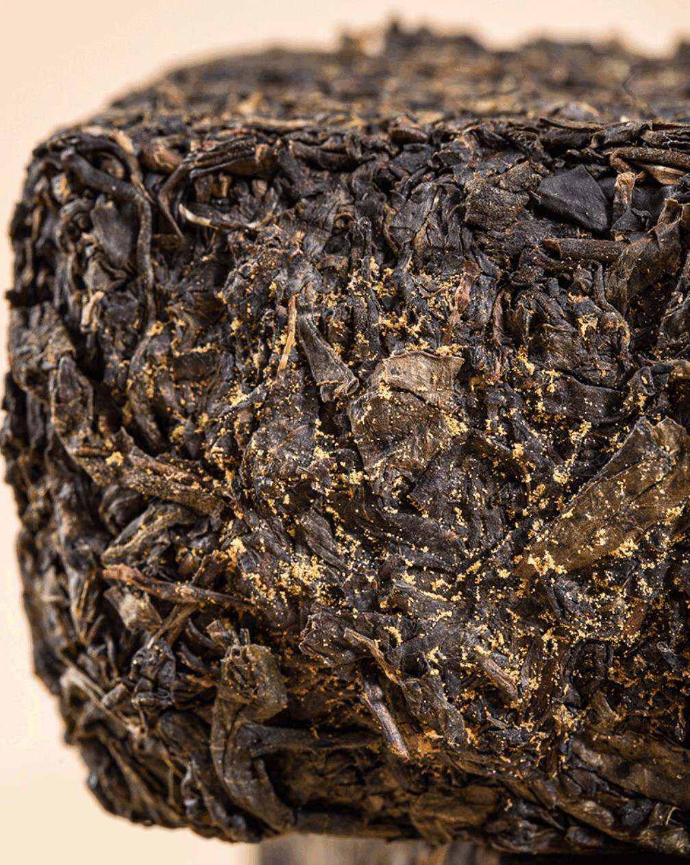 茯茶金花 茯茶金花